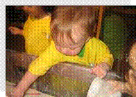 Infant Toddler Curriculum