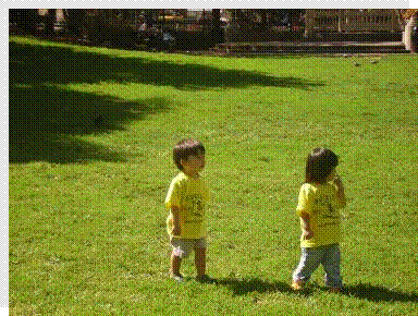 Toddlers Park