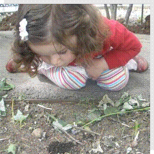 Watching worms
